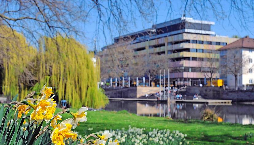 Der Neckar erblüht – Zeit, dass auch die Temperaturen in Heilbronn frühlingshafter werden. (Foto: Archiv) Der Neckar erblüht – Zeit, dass auch die Temperaturen in Heilbronn frühlingshafter werden. (Foto: Archiv)