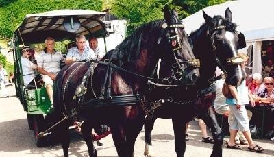 Eine herrliche Aussicht bot sich den Besuchern am Sonntag bei der Kutschfahrt durch die Weinberge.Foto: Guido Sawatzki