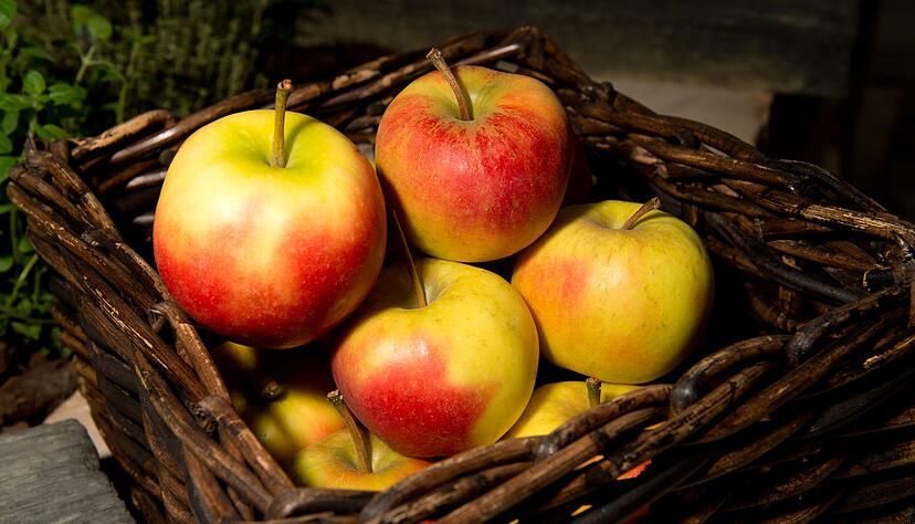 Äpfel lagern besser nicht neben anderem Obst - sie sondern ein Gas ab, durch das Früchte in ihrer Nähe schneller verderben. Äpfel lagern besser nicht neben anderem Obst - sie sondern ein Gas ab, durch das Früchte in ihrer Nähe schneller verderben.