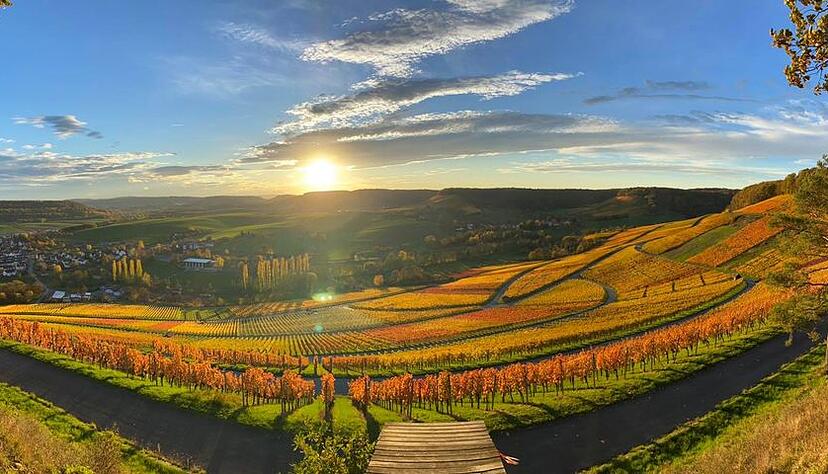 Die schönsten Herbstfotos aus der Region
