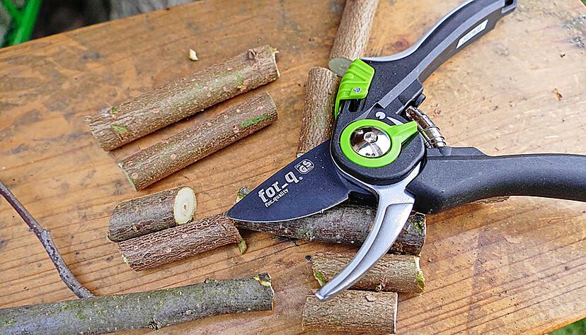 Der Preistipp der Tester ist die Gartenschere der Hornbach-Eigenmarke for_q (10 Euro).