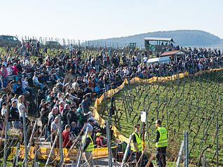 Bei bestem Wetter zieht es viele Zuschauer auf die Pl&auml;tze zwischen den Weinbergen.