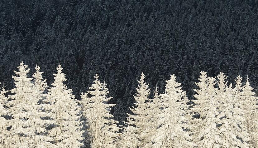 Bei Schnee entstehen spannende Kontraste.