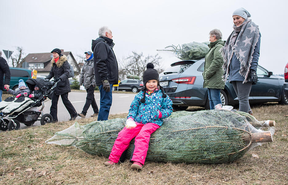 Prevorster Christbaummarkt