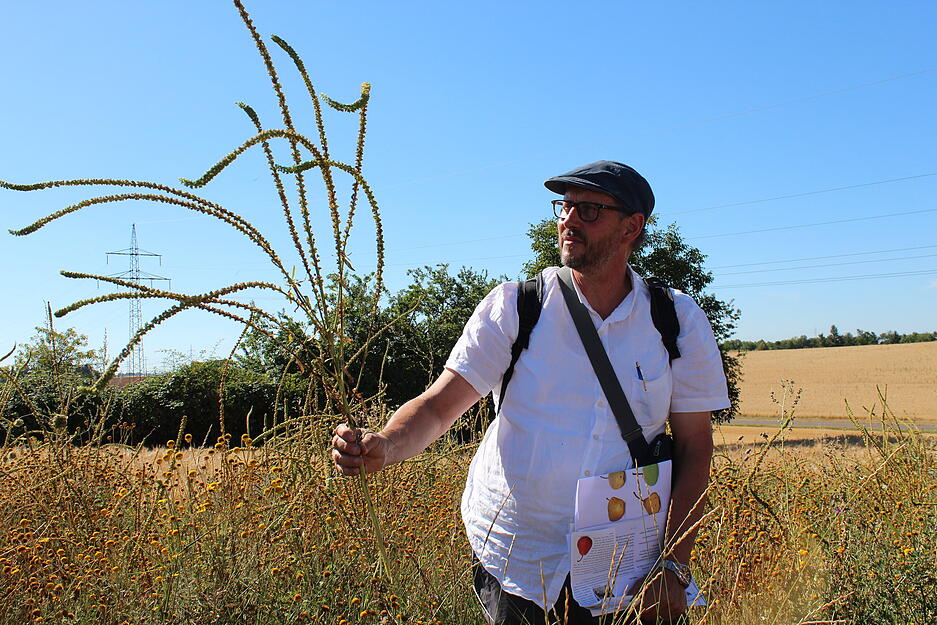 Lesersommer Mostbirnenweg Lesersommer Mostbirnenweg