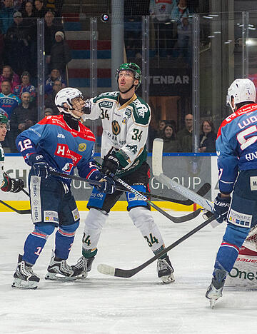 Leon Gromov (Mitte), Luis Ludin und die Heilbronner Falken hatten wenig Scheibengl&uuml;ck vor dem Kasten von Gladiators-Goalie Johannes Kurrer.