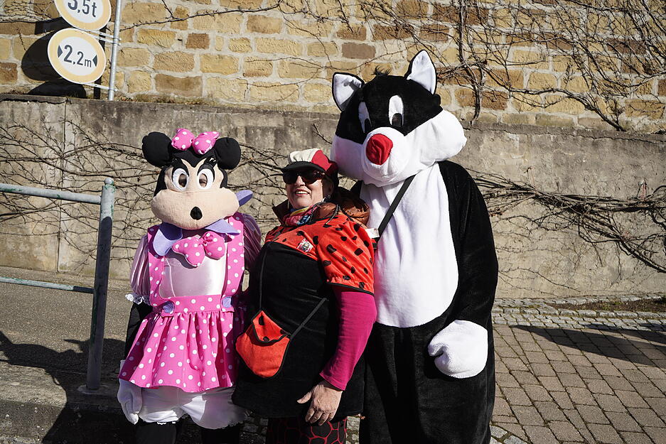 Faschingsumzug in Erlenbach