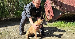 Malinois-Welpe Ignaz beim Training mit seiner Hundef&uuml;hrerin Carmen Zartmann-Seitz. Wenn sie das Kommando gibt, l&auml;uft Ignaz los.