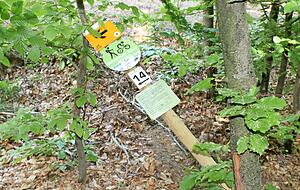Dieser Pfosten an der Strecke zwischen Beilstein-Etzlenswenden und L&ouml;wenstein wurde schon drei Mal herausgerissen.
Fotos: Reto Bosch