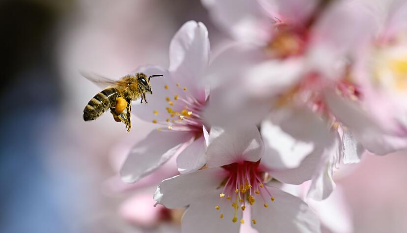 Der Fr&uuml;hling versteckt sich am Wochenende wieder etwas mehr.