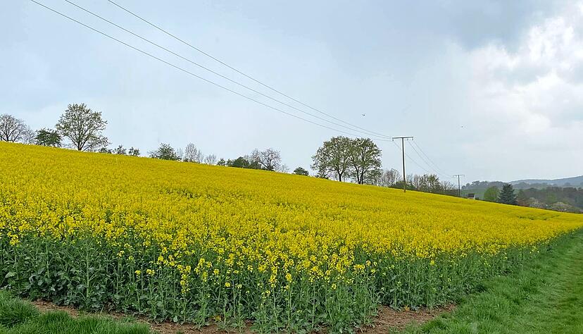 Vor dem Hintergrund des Kriegs in der Ukraine: Flächenstilllegungen passen nicht in die Zeit.