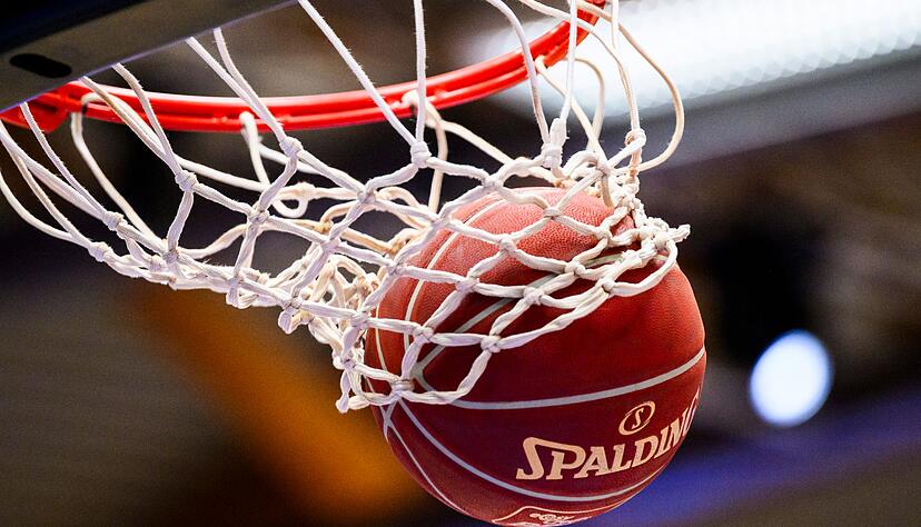 Die MLP Academics Heidelberg haben ihre Kaderplanung abgeschlossen.