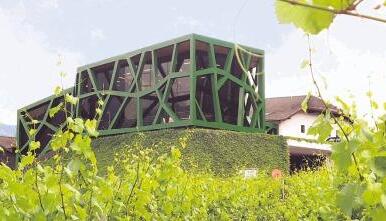 Tramin gilt als Wiege des Gew&uuml;rztraminers. Die Kellerei beweist mit ihrem Neubau Mut. Bei einem Symposium gab"s hier Wein von Bentzel-Sturmfeder aus Schozach.