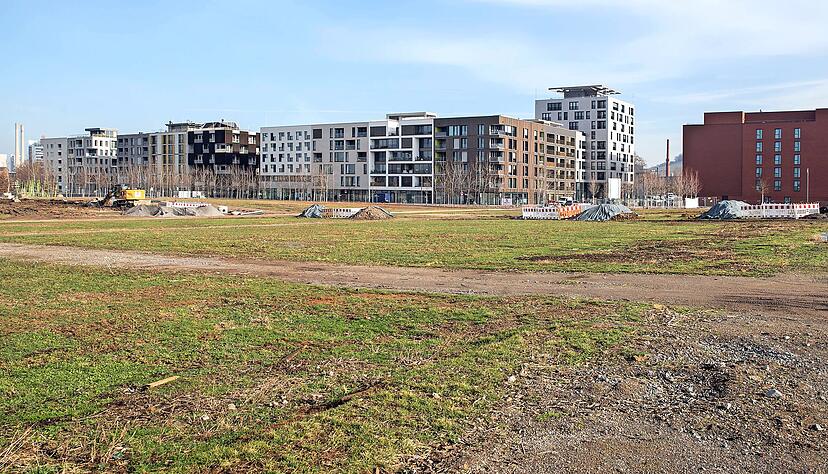 Im Neckarbogen entstehen neue Wohnhäuser. Die Stadt schätzt, dass Heilbronn im Vergleich zu anderen Städten recht viele verfügbare Bauflächen hat.
Foto: Andreas Veigel