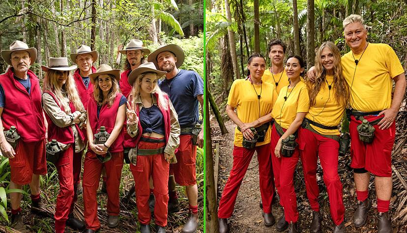 Die Bewohner des Dschungelcamps wohnen seit dem zweiten Tag alle zusammen.