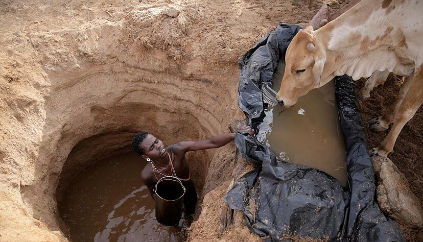 Ein Viehhirte vom Volk der Samburu im Norden Kenias tr&auml;nkt Rinder (Archivbild)