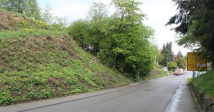 An der Steillage der Neipperger Stra&szlig;e in Schwaigern entsteht ein Mehrfamilienhaus. Auf Gewerbefl&auml;chen wird dagegen verzichtet.
Foto: Friedhelm R&ouml;mer