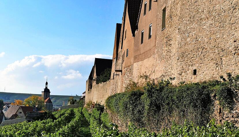 Die Mauer ums Städtle zeigt den Charme von Lauffen. Die Mauer ums Städtle zeigt den Charme von Lauffen.