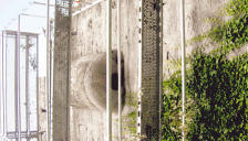 Efeu rankt die innere Burgmauer hoch. Es muss entfernt werden.