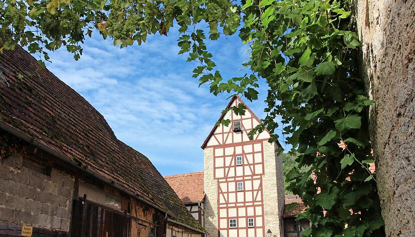 Scheunen und historische Gebäude, hier das sogenannte Salztor, prägen die Altstadt Niedernhalls.
Fotos: Archiv/Ludwig Scheunen und historische Gebäude, hier das sogenannte Salztor, prägen die Altstadt Niedernhalls.
Fotos: Archiv/Ludwig