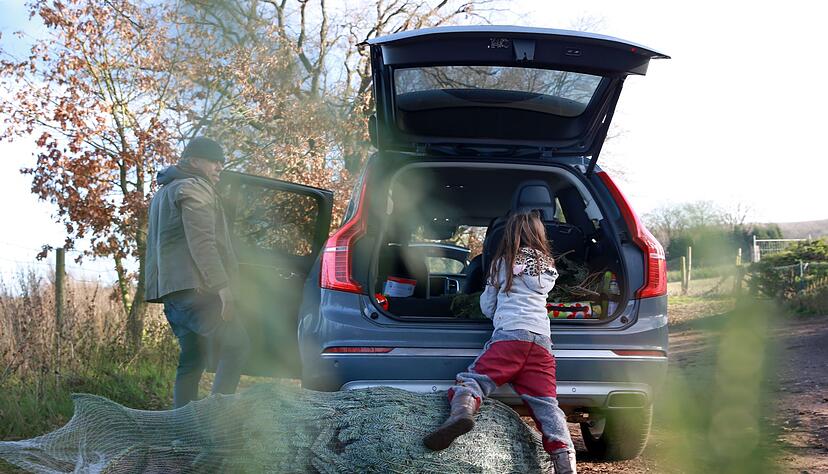 Ein Erlebnis für die ganze Familie: Den passenden Weihnachtsbaum fürs Wohnzimmer aussuchen. Ein Erlebnis für die ganze Familie: Den passenden Weihnachtsbaum fürs Wohnzimmer aussuchen.