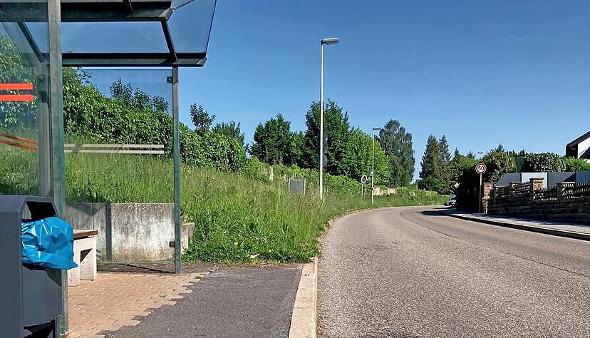 Rad- und Busverkehr vernetzt gedacht: Bei der Bushaltestelle in der Siegelsbacher Straße sollen bis zu vier Fahrradstellplätze realisiert werden.