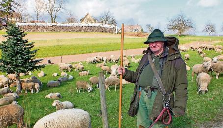 Sch&auml;fer Reinhold Baumann ist mit seiner Herde in der Umgebung von Prevorst unterwegs.Fotos: Wolfgang Seybold