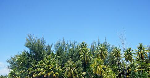 Einmal Bora Bora und zur&uuml;ck: Wer sich einen solchen Reisetraum erf&uuml;llen m&ouml;chte, muss den Geldbeutel in der Regel ziemlich weit &ouml;ffnen.