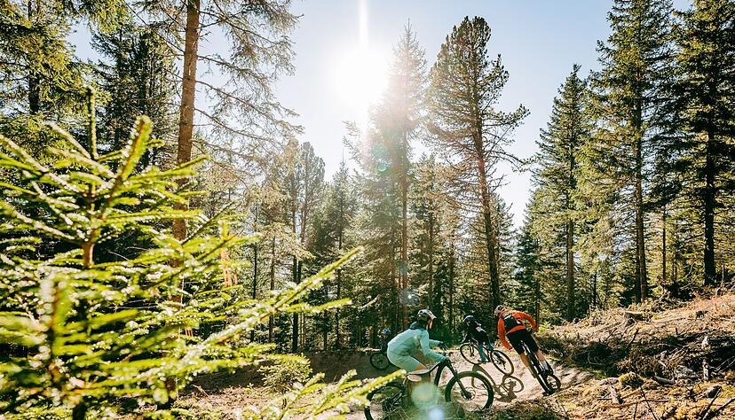 Der Hochzeiger Family Trail ist der erste MTB-Trail im Tiroler Pitztal.