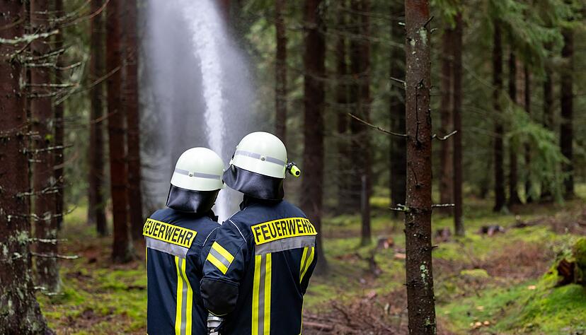 Die Feuerwehr bek&auml;mpfte den Brand am Waldboden. (Symbolbild)