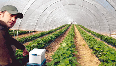 Eine bizarre Folienlandschaft in Neuenstadt: Markus Fischer zeigt die Kästen, in denen die Hummeln sitzen. Die kann man sogar leasen.
Foto: Waltraud Langer Eine bizarre Folienlandschaft in Neuenstadt: Markus Fischer zeigt die Kästen, in denen die Hummeln sitzen. Die kann man sogar leasen.
Foto: Waltraud Langer