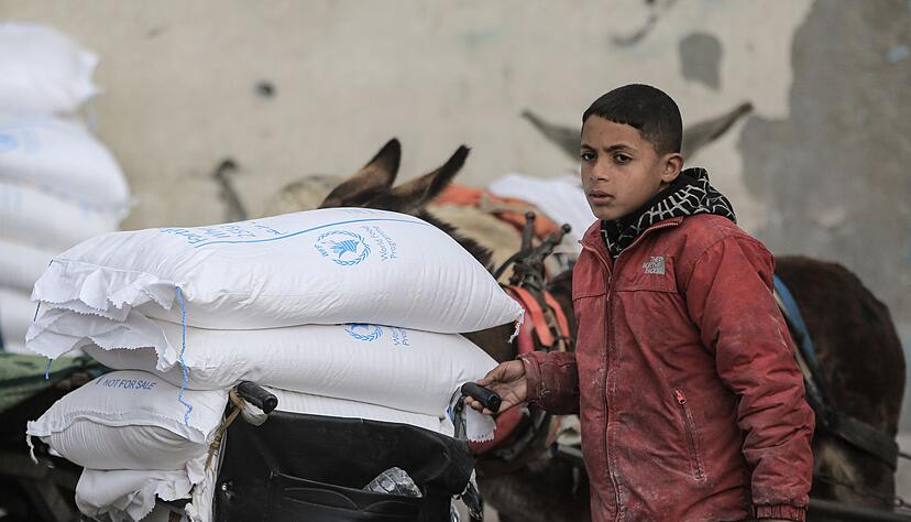 UNRWA verteilt Lebensmittel und betreibt Schulen und Kliniken. (Archivbild) UNRWA verteilt Lebensmittel und betreibt Schulen und Kliniken. (Archivbild)