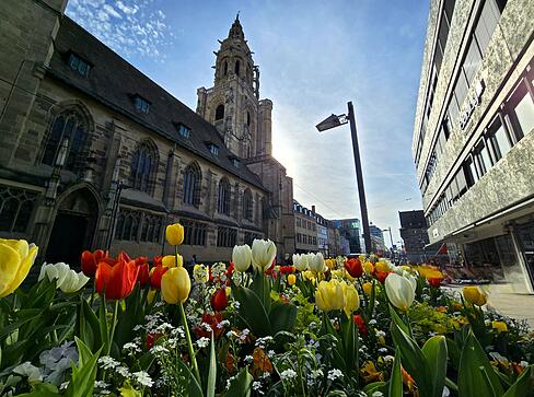 Es ist bunt in der Heilbronner Innenstadt.