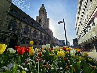 Es ist bunt in der Heilbronner Innenstadt.