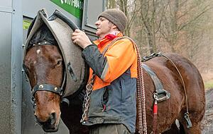 In der Regel werden die R&uuml;ckepferde mit einem gepolsterten Ring aufgeschirrt &minus; eine Ma&szlig;anfertigung.