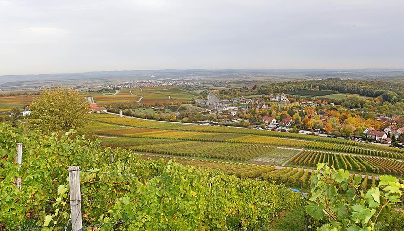 Vom Michaelsberg in Cleebronn genießt man einen wunderbaren Blick über die Rebenlandschaft − ein idealer Standort für den Weinausschank.
Foto: Archiv/Seidel Vom Michaelsberg in Cleebronn genießt man einen wunderbaren Blick über die Rebenlandschaft − ein idealer Standort für den Weinausschank.
Foto: Archiv/Seidel