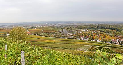 Vom Michaelsberg in Cleebronn genießt man einen wunderbaren Blick über die Rebenlandschaft − ein idealer Standort für den Weinausschank.
Foto: Archiv/Seidel