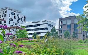 Die Atmosphäre der Bundesgartenschau 2019 lässt sich im neuen Stadtquartier Neckarbogen nachfühlen.