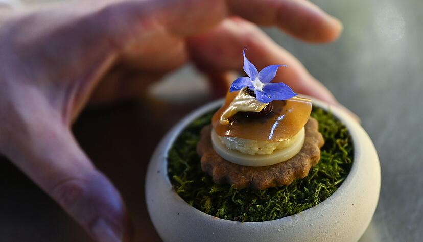 Es wird etwas serviert, was Sie nicht bestellt haben? Dabei handelt es sich meist um eine kleine Speise, die in gehobenen Restaurants (unverlangt) noch vor der Vorspeise als Amuse-Bouche serviert wird.