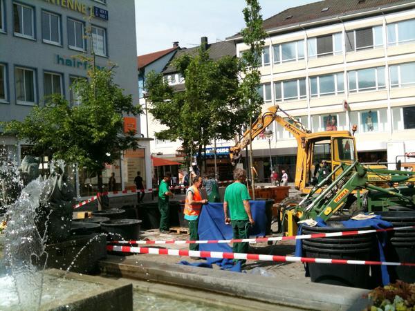 Probebäume auf Kiliansplatz | 10.05.