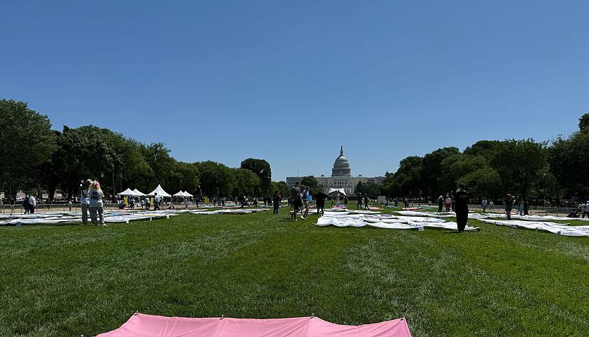 &bdquo;Trans Lives Matters&ldquo; - auf der National Mall vor dem Kapitol sind am ersten Tag der Worldpride verschiedene Banner zu sehen, auf denen die Rechte von Transpersonen eingefordert werden.