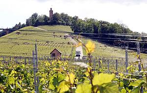 Die Heuchelberger Warte markierte einst eine Grenze, den Landgraben. Foto: