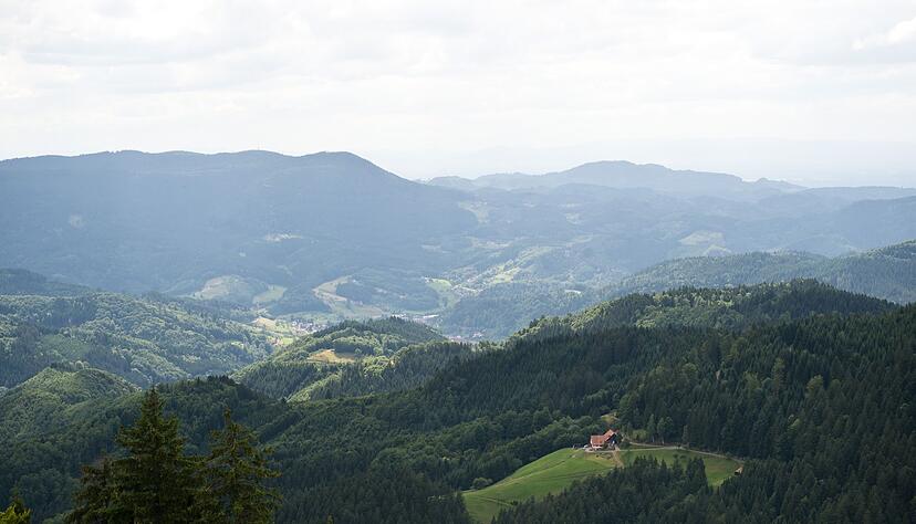 Das Renchtal ist derzeit eines der Schwerpunktgebiete f&uuml;r Fuchsr&auml;ude. (Archivbild)
