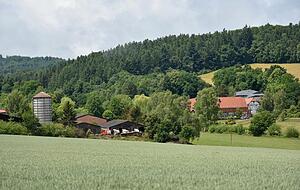 Und in diesem Hofgut lebt der 50-jährige behinderte Sohn. Und in diesem Hofgut lebt der 50-jährige behinderte Sohn.