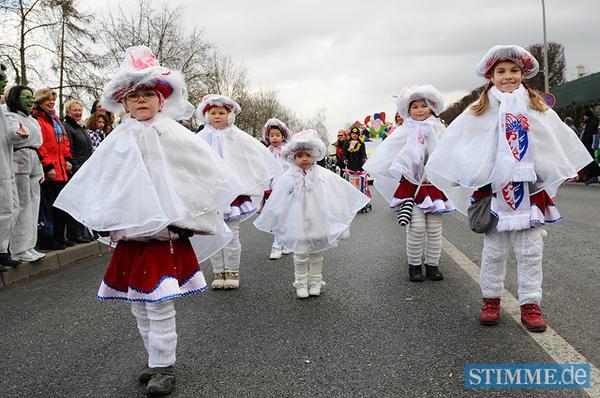 Faschingsumzug Bad Wimpfen I | 19.02.