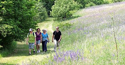 Auf etwas mehr als 38 Kilometer können Wanderer das Jagsttal in seiner vollen Blüte erleben. 
Foto: Archiv/Doll
