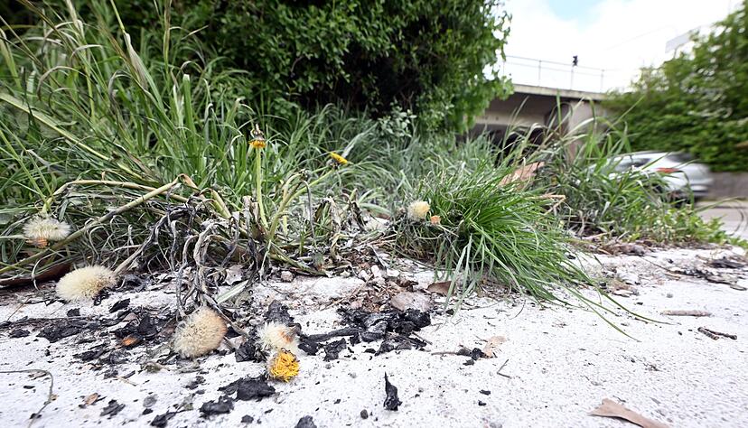 Auch zwei Tage nach dem Vorfall sind die Spuren noch zu sehen.