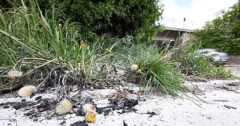 Auch zwei Tage nach dem Vorfall sind die Spuren noch zu sehen.