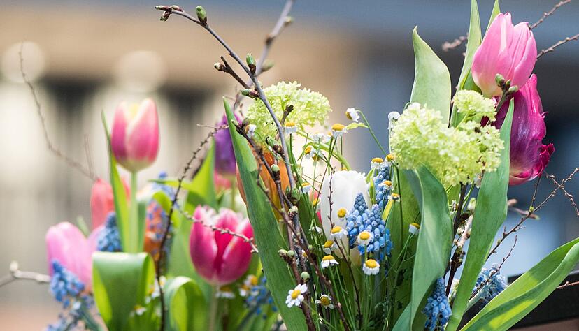 Ein bunter Fr&uuml;hlingsstrau&szlig; bringt frische Farben ins Zuhause und sorgt f&uuml;r Osterstimmung.