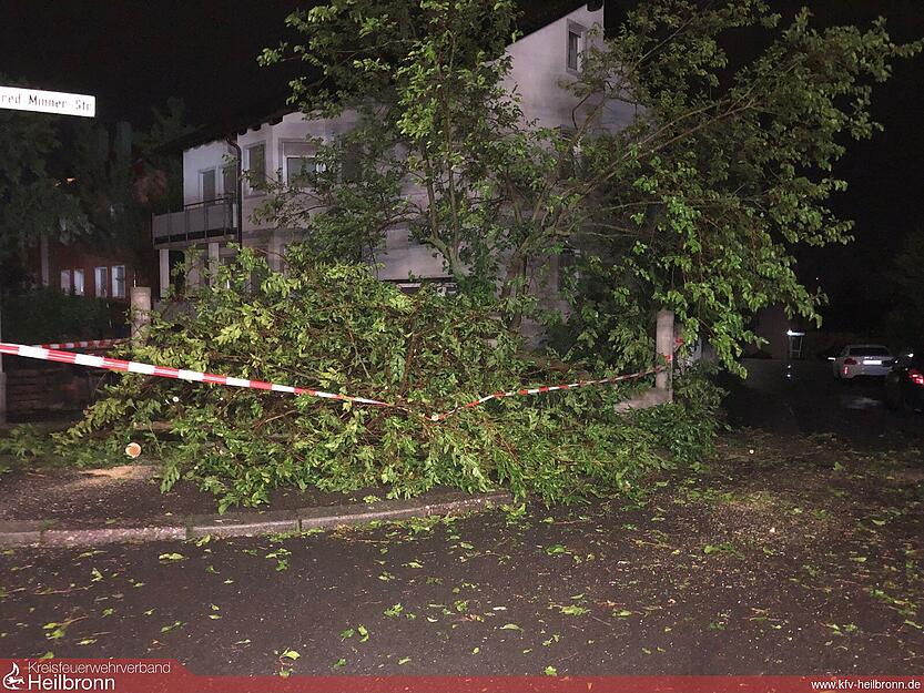 Abgebrochene Äste liegen an der Alfred-Minner-Straße in Heilbronn.